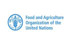 Food and Agriculture Organization