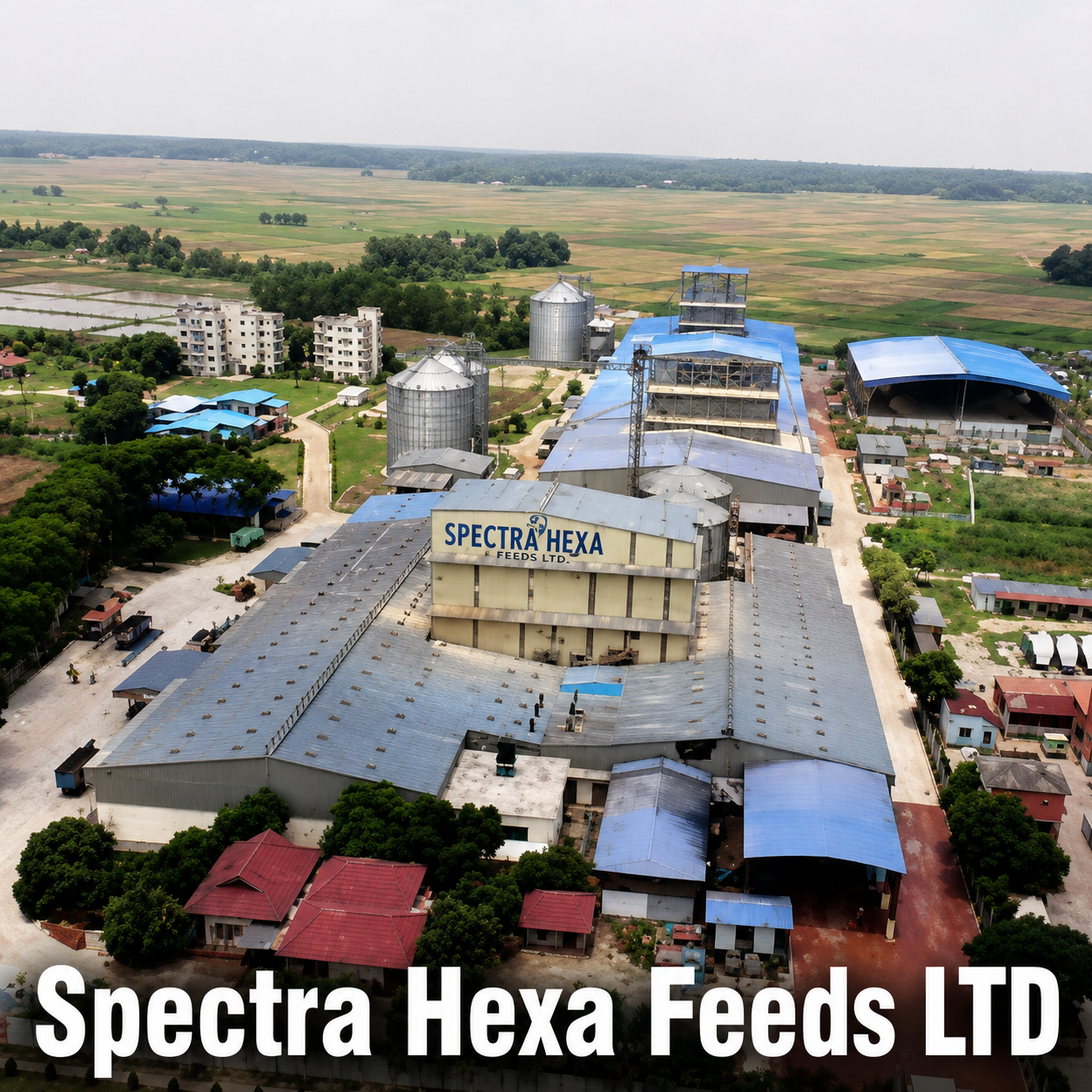 Spectra Hexa Feeds Ltd